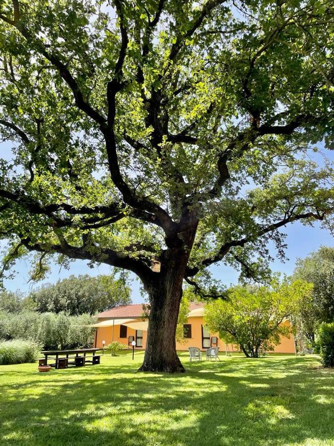 Agriturismo I Tre Fossi Magliano in Toscana Zewnętrze zdjęcie